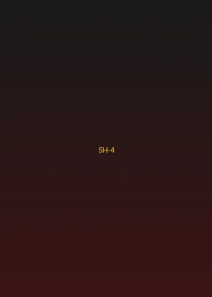 四虎 - 暗流涌动海报